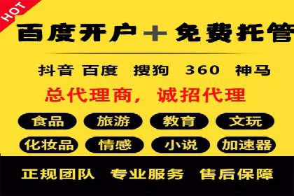 竞价推广SEM托管策略优化——某科技公司的成功经验
